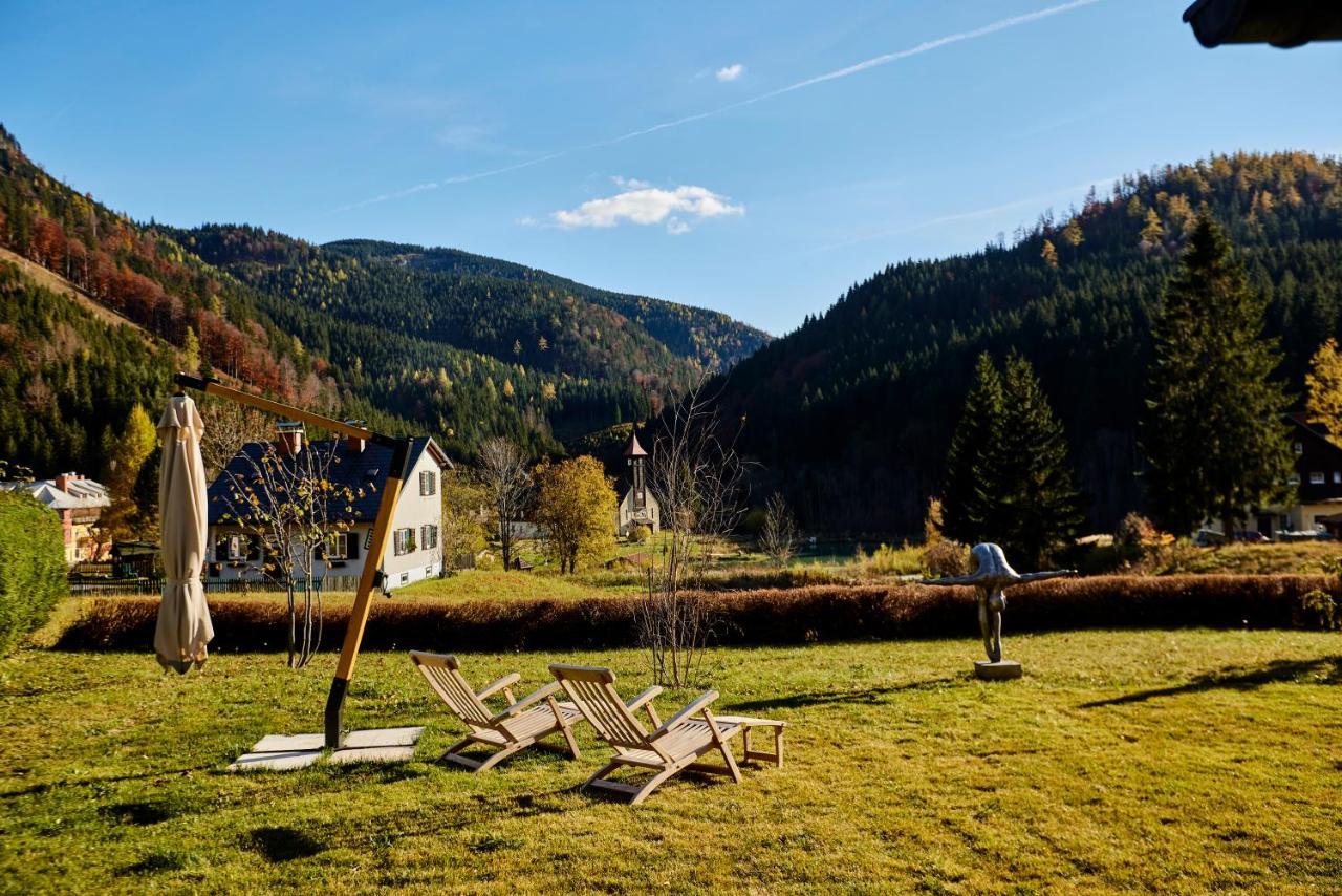 Frein Chalets - Wildalm Frein an der Murz Экстерьер фото