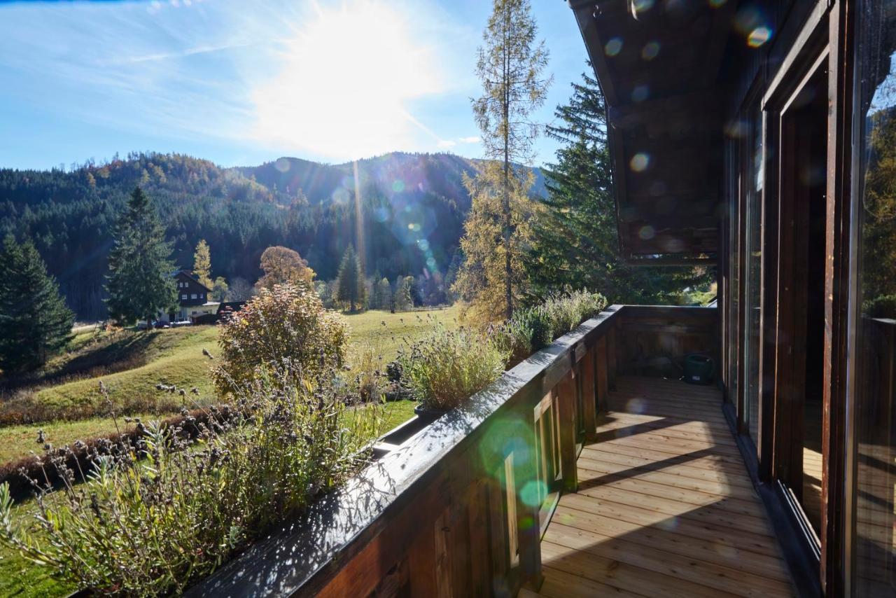 Frein Chalets - Wildalm Frein an der Murz Экстерьер фото