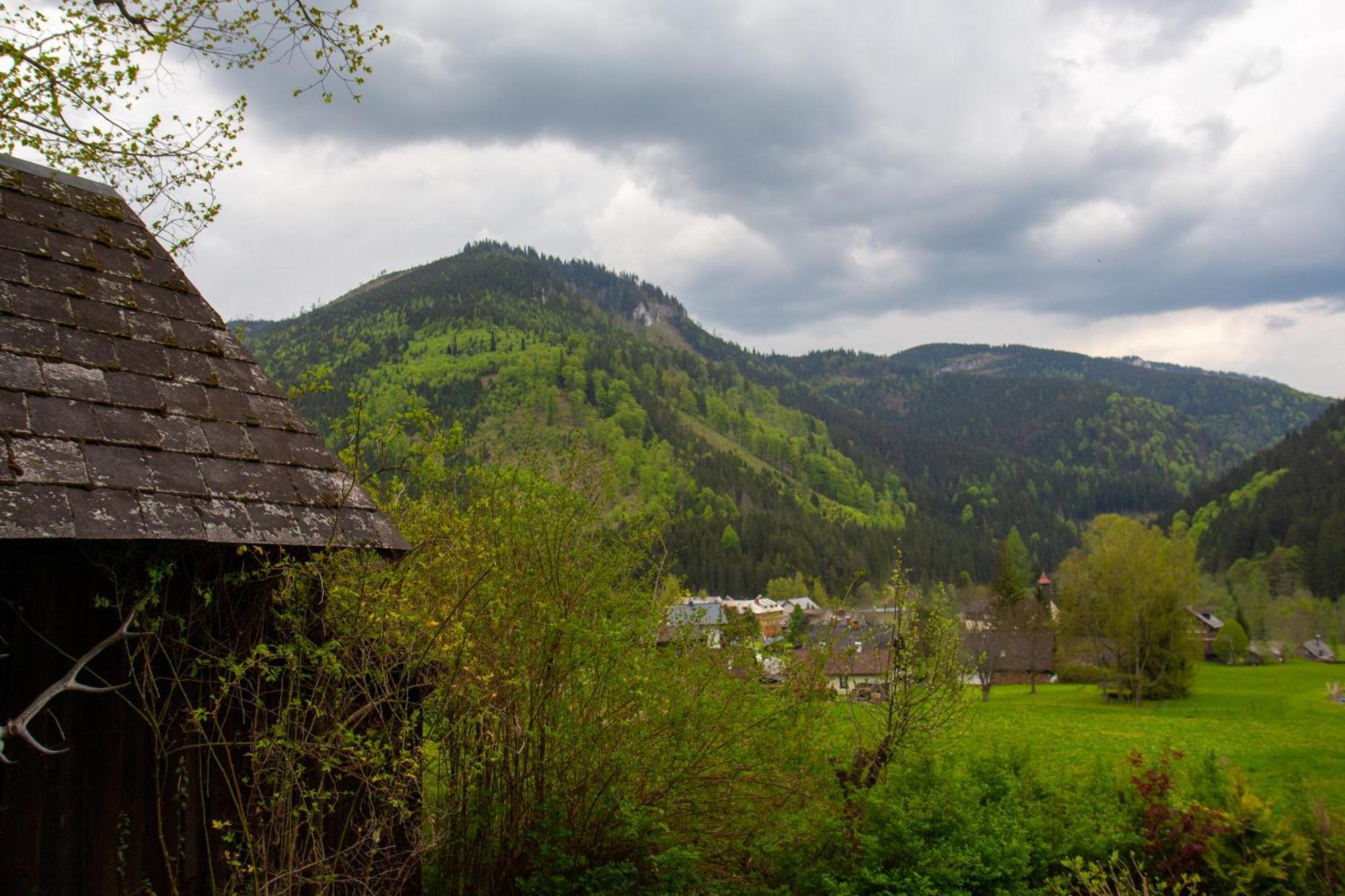 Frein Chalets - Wildalm Frein an der Murz Экстерьер фото